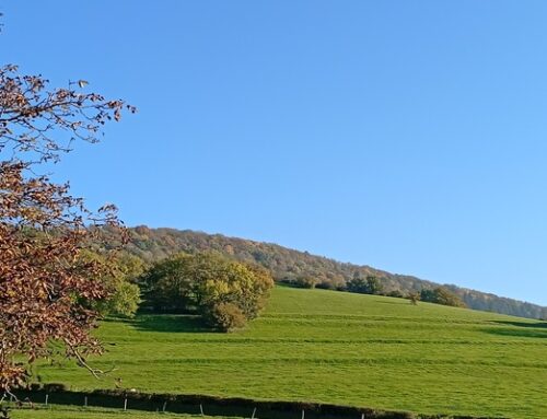 Un petit hameau Jurassien (39)
