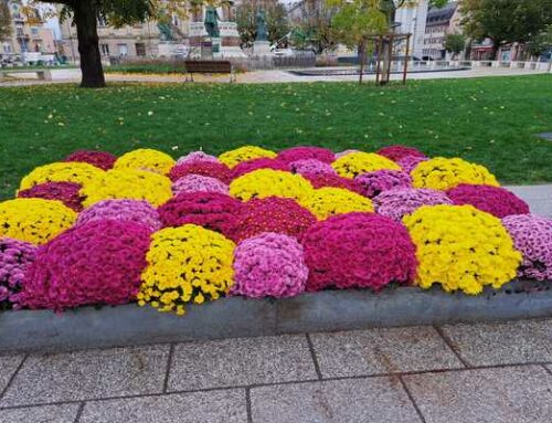 Dans la lumière éternelle