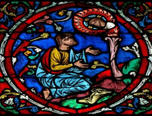 Deuxième semaine de l&rsquo;Avent