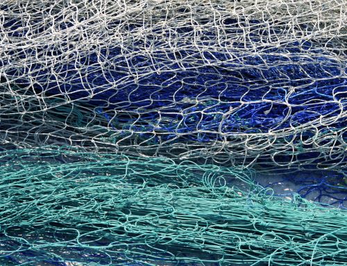 « C&rsquo;est le Seigneur »